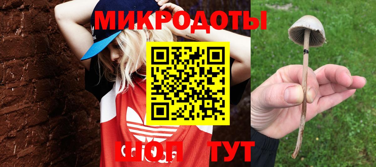 Псилоцибиновые грибы Magic Shrooms  Вход с VPN  Галлюциногенные грибы Magic Shrooms  Ногинск 